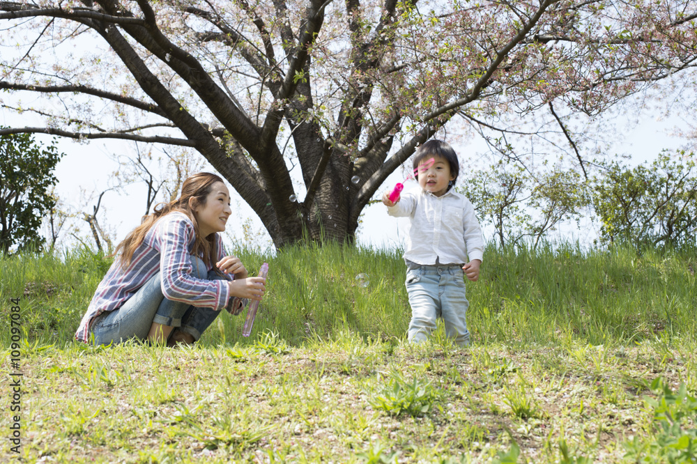 Fototapeta premium Mother and young son playing with soap bubbles in the park