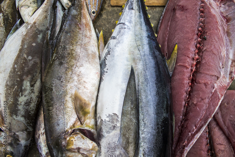Obraz premium Fish at a local fish market.