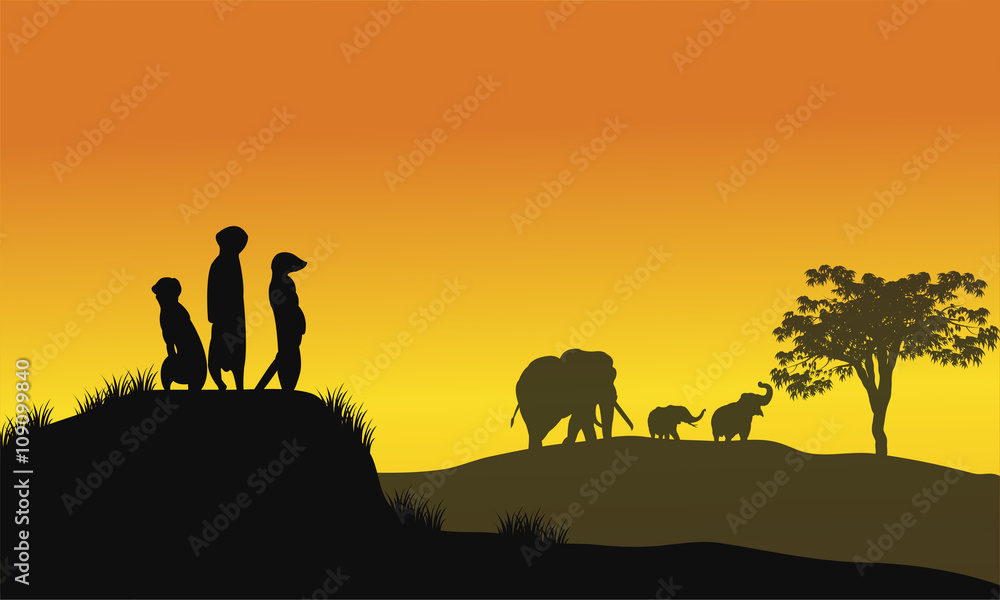 Silhouette of weasel and elephant
