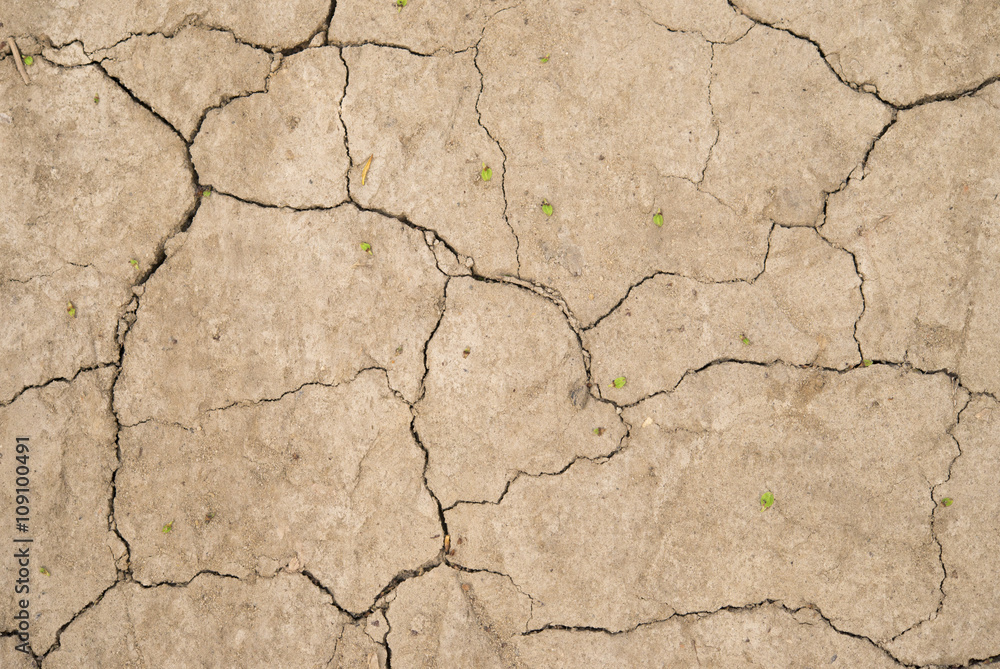 Fototapeta premium сухая почва трещины. трещины грунт