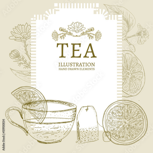 Tea hand drawn elements vintage tea sketch vector