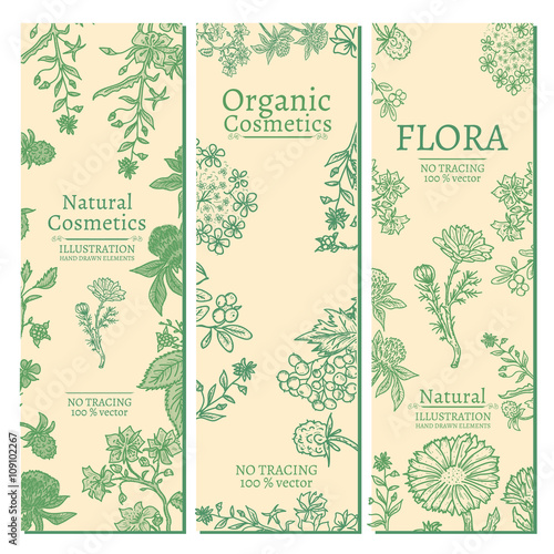 Elegant banners herbs and flowers hand drawn vintage