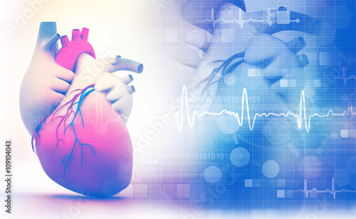 Human heart with ecg graph on white background. photo