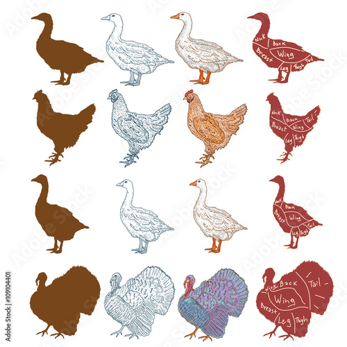Farm birds collection chicken duck goose turkey set