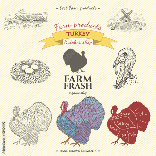Turkey farm collection