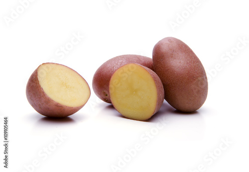 Magnolie