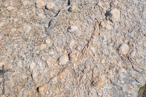 Принти на полотні Rock texture, metamorphic rocks, background