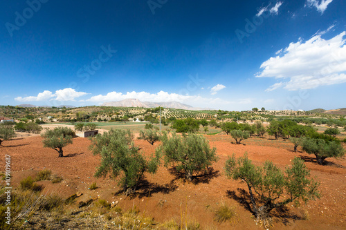 Nature of Spain  rural landscape