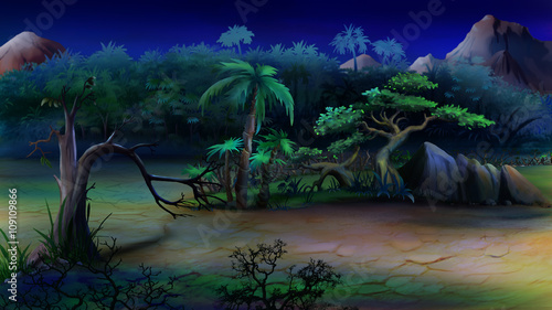 View of the African Bush. Summer Night.