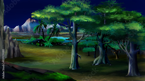 Acacia Trees in Africa. Night View