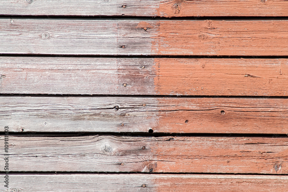 Obraz premium Light wooden fence