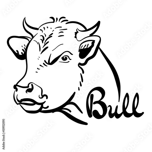 Bull logo, line art, black and white, vector illustration