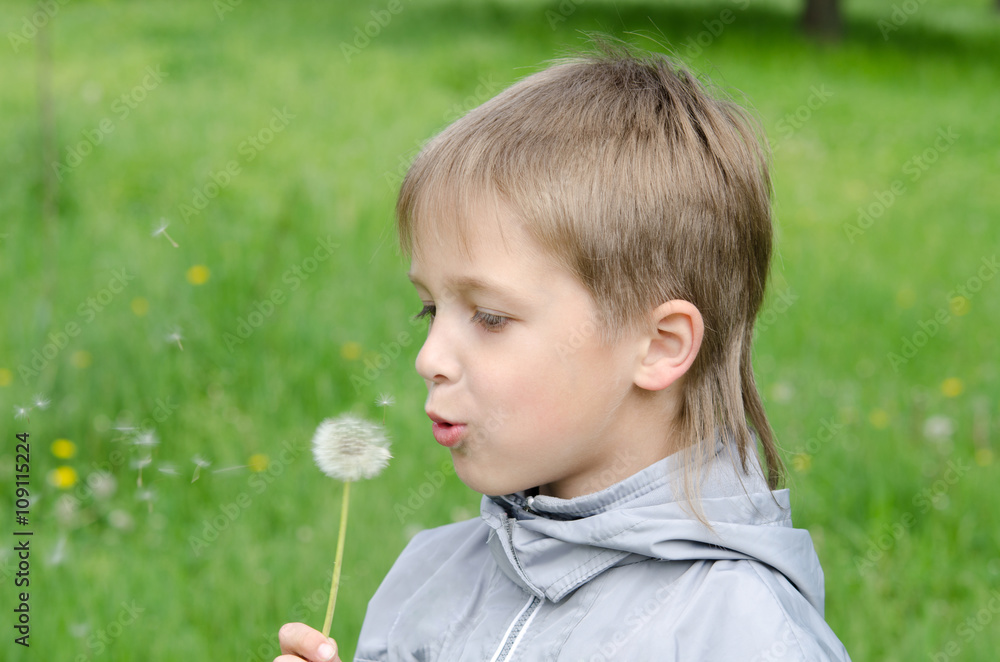 Boy Standing In Field Blowing Dandelion Boy Standing In Field Blowing Dandelion