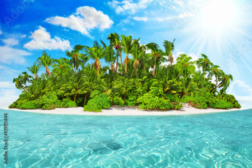 Whole tropical island within atoll in tropical Ocean on a summer