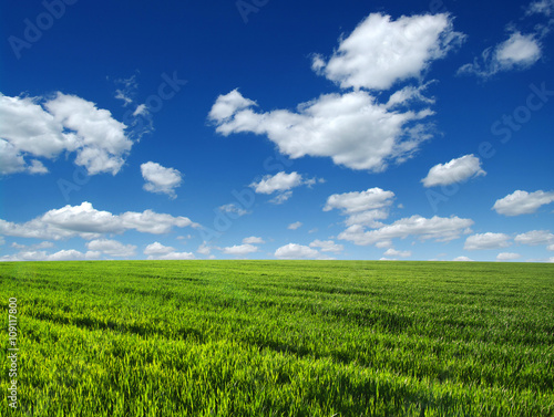  field and sky