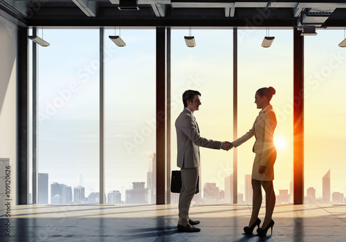 Business partners handshake © Sergey Nivens