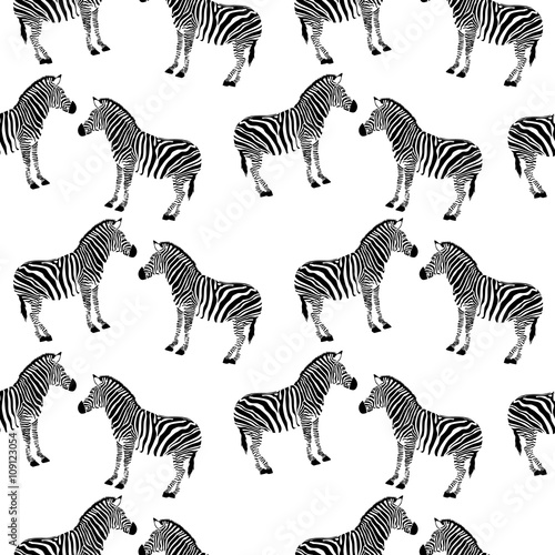 zebra black and white seamless background. isolated on white background.