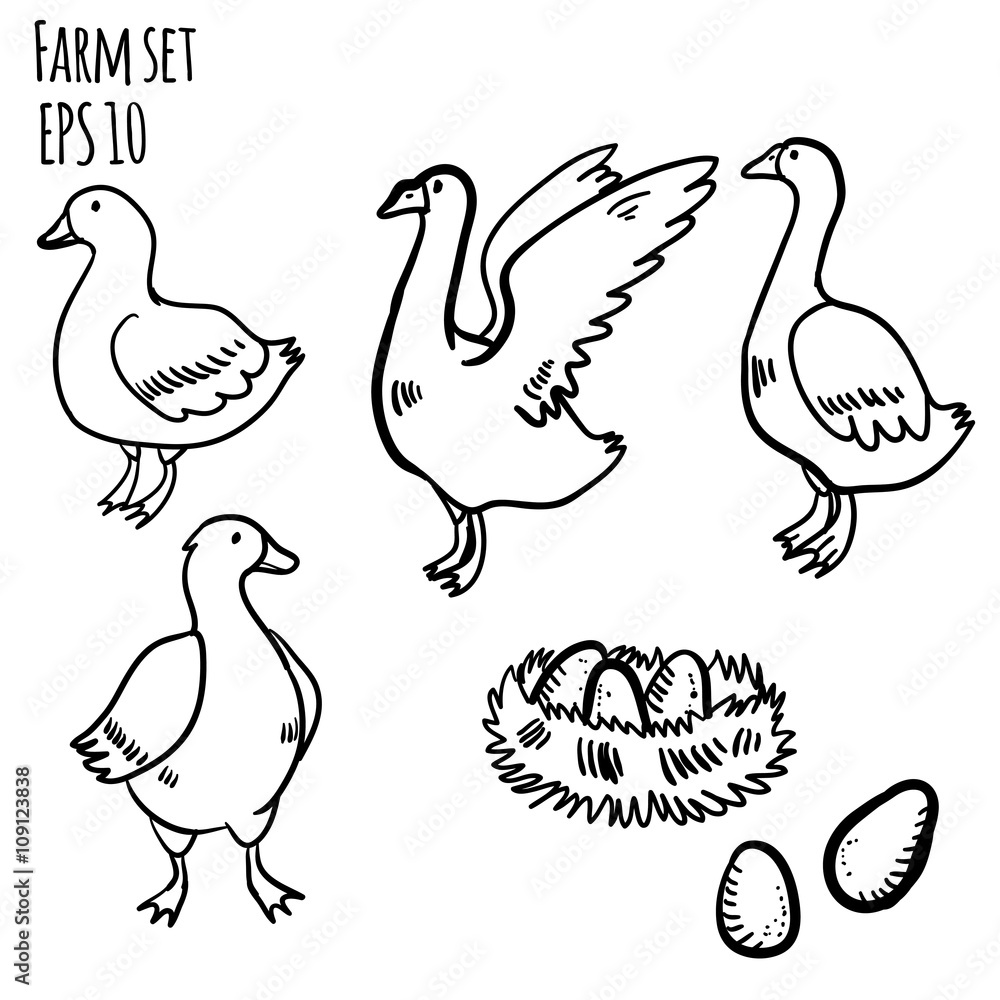 Naklejka premium Wydrukować