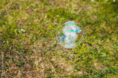 soap bubble on the lawn background