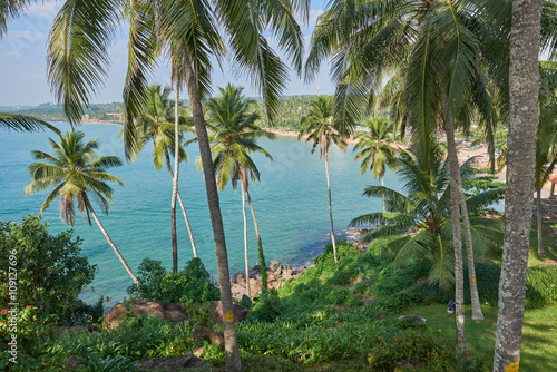 View of the blue ocean thrugh verdant grove of coconut trees