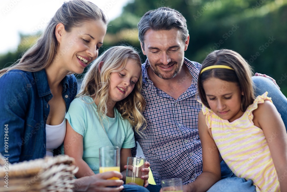 Fototapeta premium Family having a picnic