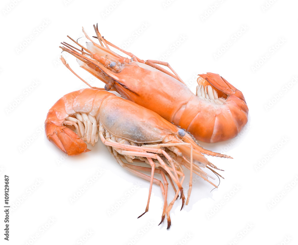 shrimp isolated on white background shrimp isolated on white background