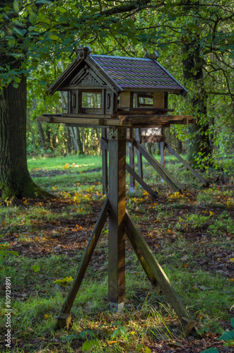 Vogelhäuschen im Wald 