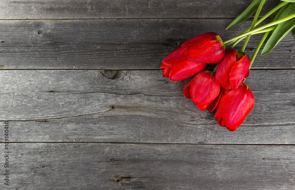 Red tulips on a dark wooden background