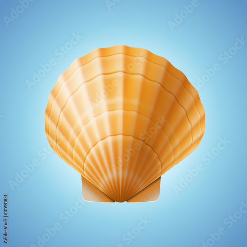 Realistic scallop seashell, isolated on blue background