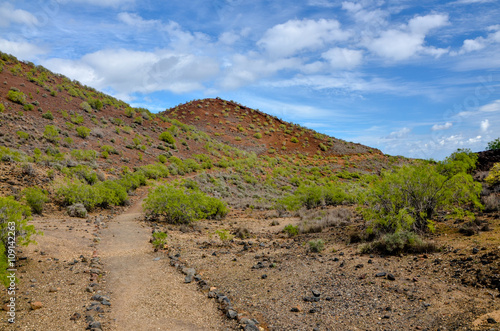 path on the slopes of dormant volcano Morras del Corcho in Malpais de Guimar (Badlands of Guimar) Tenerife. Canary Islands, Spain