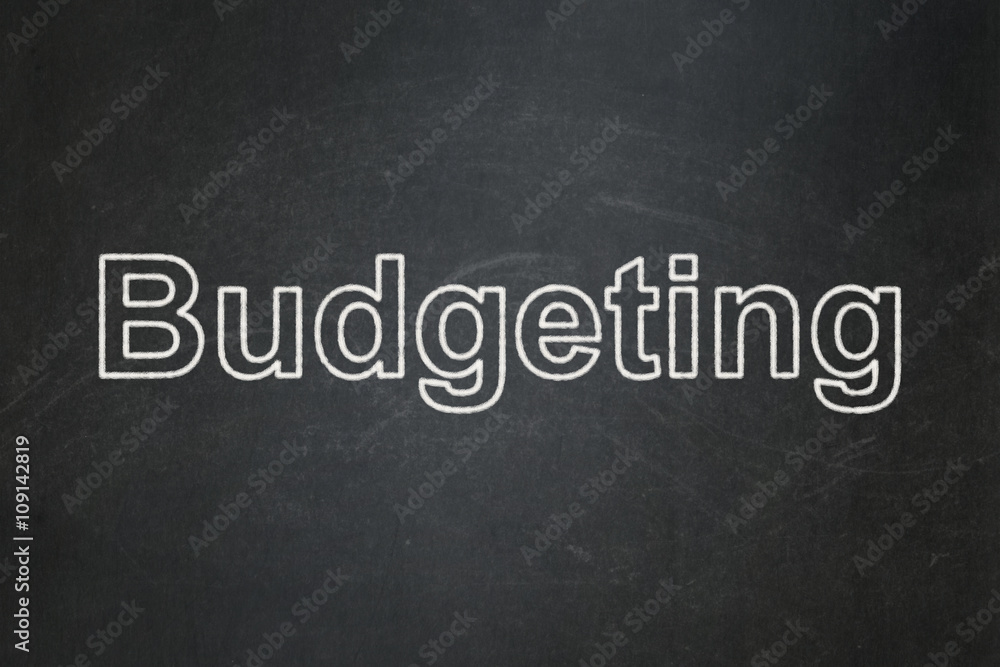 Fototapeta premium Business concept: Budgeting on chalkboard background