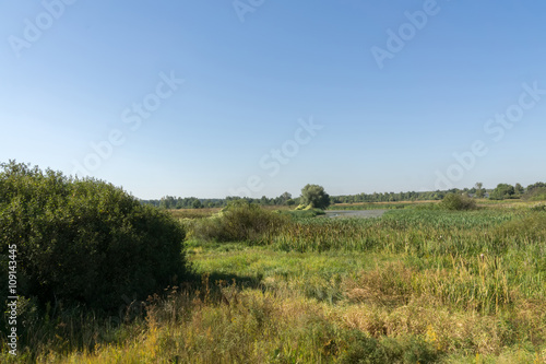 Summer Rural Landscape