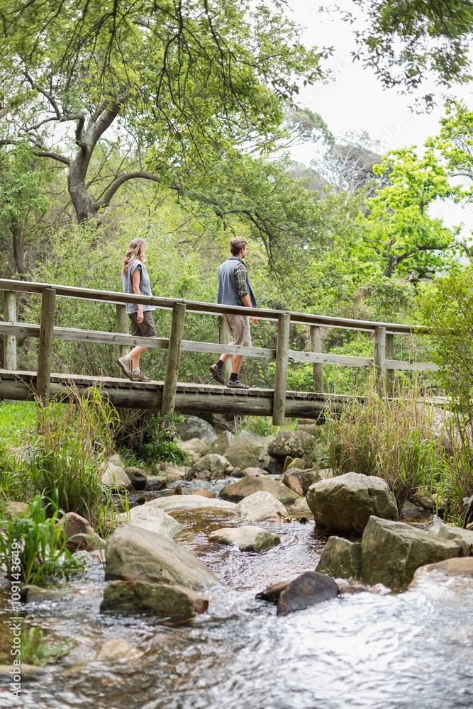 Hikers walking on footbridge in forest Hikers walking on footbridge in forest