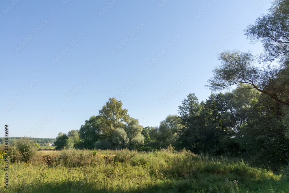 Obraz premium Summer Rural Landscape