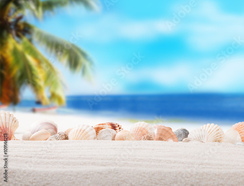 Shells on sandy beach with tropical beach background