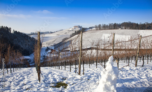 Ortenau Vineyards in the Wintertime, Black Forest, Germany