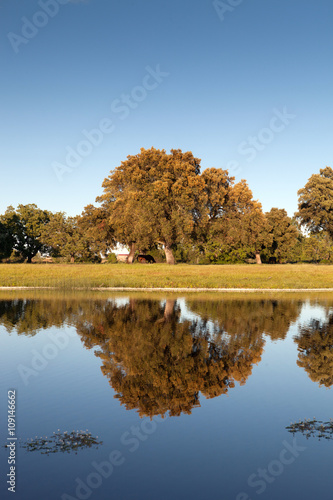 Beautiful scenery of the banks of a river