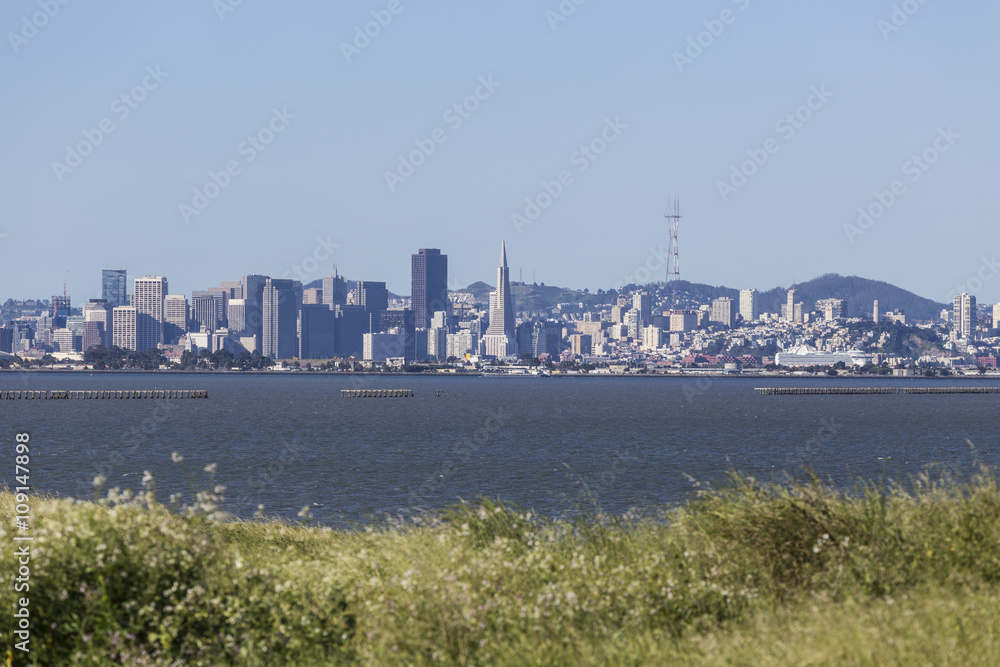 Fototapeta premium Clear Morning Meadow View Across San Francisco Bay