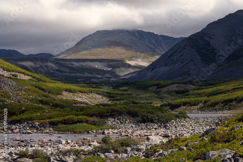 Mountain valley covered with thickets of cedar. Peninsula Kony. Magadan Region. Russia.