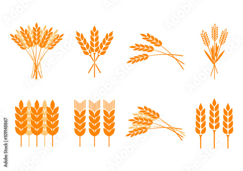 Orange cereal icons on white background