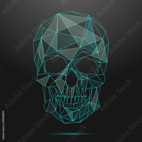 Low poly skull. Thin line skull vector