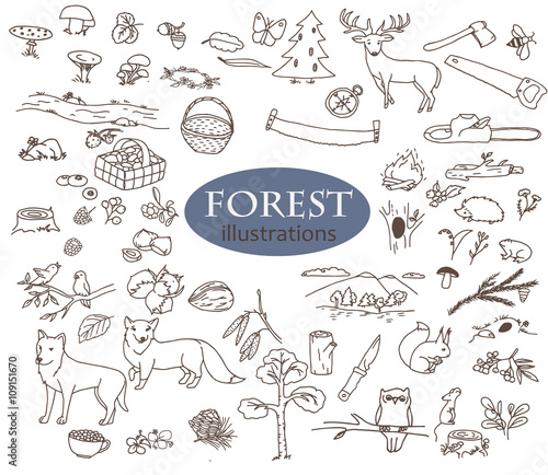 Fototapeta Naklejka Na Ścianę i Meble -  Forest doodles collection. Line art illustrations set