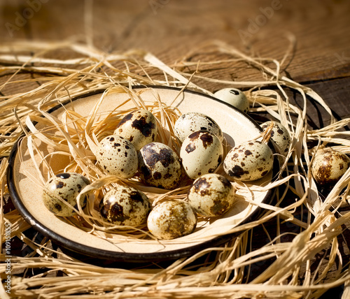 Quail eggs in plate 