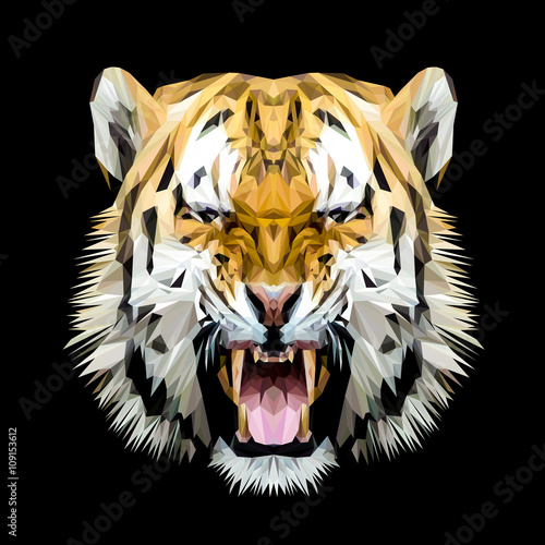 Tiger cat animal low poly design. Triangle vector illustration.
