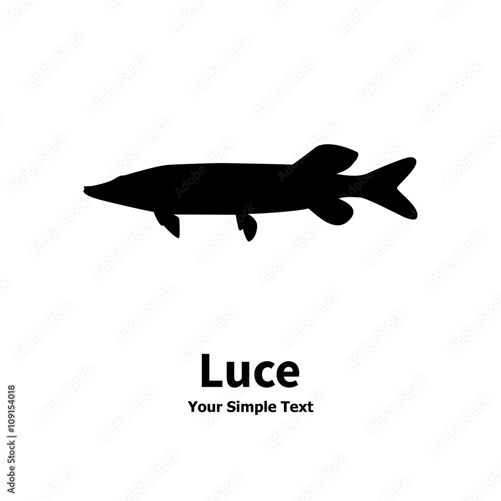 Obraz premium Silhouette of a luce isolated on white background