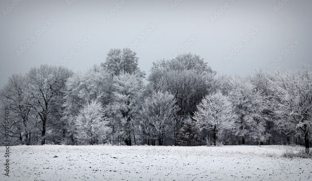 custom made wallpaper toronto digitalvereiste Landschaft - Chemnitz, Sachsen. 