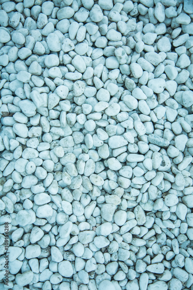 Stone Pebble Texture Stone Pebble Texture