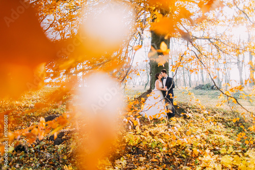 Stylish young wedding couple in love against the background of autumn forest