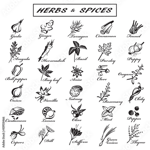 set of different herbs and spices
