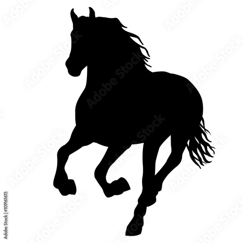Black horse silhouette isolated 